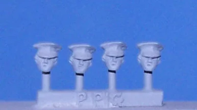 PIG060101 - POLISH CAPS