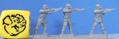 PIG110002 - GOVERNMENT TROOPS KEPI FIRING