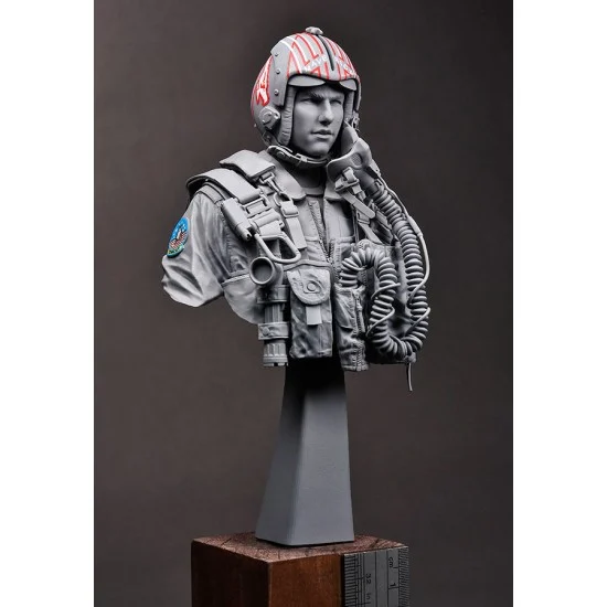 R2 Miniatures R19-B09 1/9 Bust - USN/US Navy F-14 Tomcat Pilot 1980s