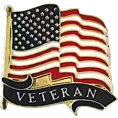 USA Veteran Wavy Lapel Pin Ruffin (249301) - Ruffin Flag Company