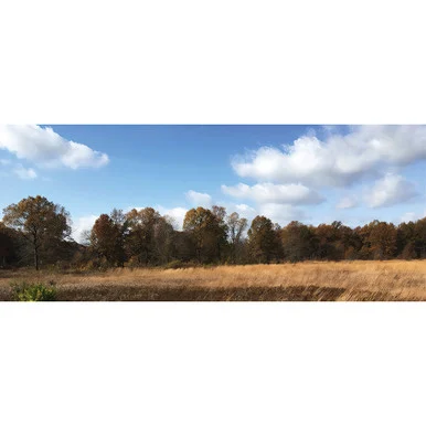 Open Field Scenic Backdrop - 31"W x 13" H WILLIAM BRITAIN 51102