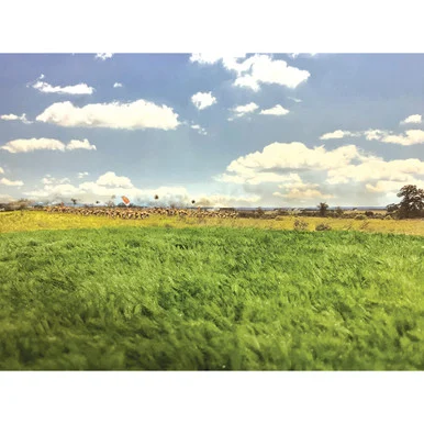 SUMMER MEADOW GRASS MAT 32"X 24" William Britain (80007)