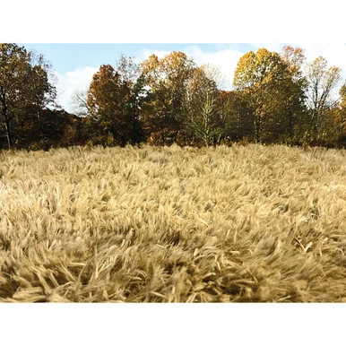 FALL MEADOW GRASS MAT 32"X 24" William Britain (80012)