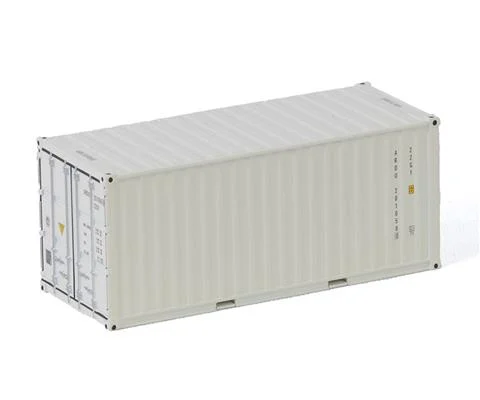 20 Foot Container in White - WSI