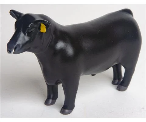 Angus Show Bull with Nose Ring - LITTLE BUSTER