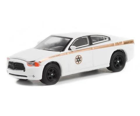 Absaroka County Sheriffs Department - 2011 Dodge Charger Pursuit
