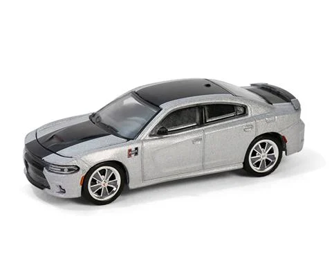 2018 Dodge Charger SRT 392 - Mr Norm Heritage GSS Charger