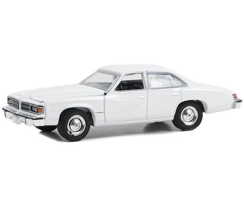 Police - 1977-76 Pontiac LeMans Enforcer in White