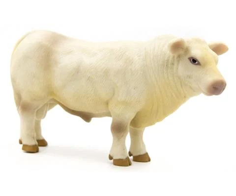 Charolais Bull - SUPER DURABLE