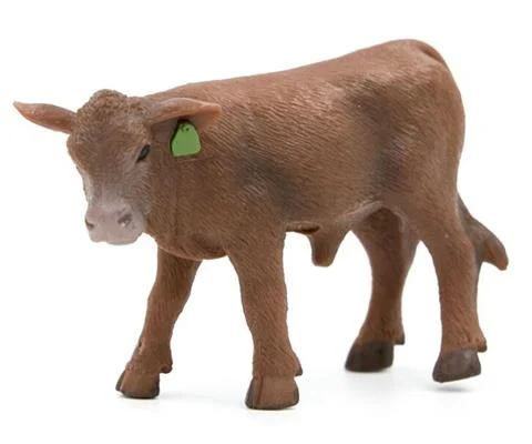 Red Angus Calf - SUPER DURABLE
