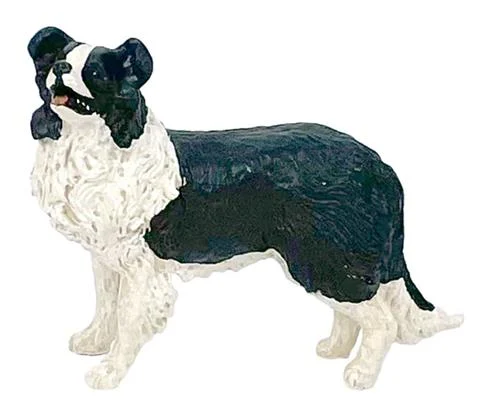 Border Collie Dog - BIG COUNTRY