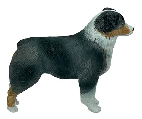 Australian Shepherd Dog - BIG COUNTRY