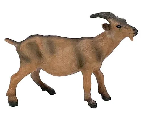 Goat - BIG COUNTRY