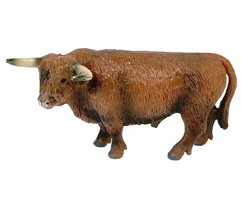 Highland Bull - BIG COUNTRY